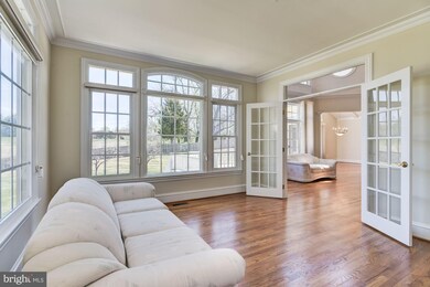 16533 Harbour Town Dr, Silver Spring, MD 20905 - photo 7