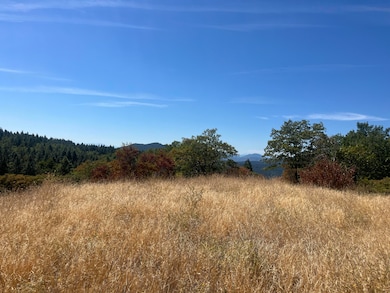 0 Dunn Moody Rd, Round Mountain, CA 96084 - photo 4