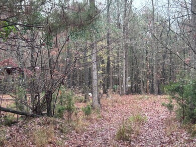 1956 Piney Woods Rd, Lincolnton, GA 30817 - photo 6