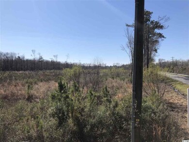 4000 Highway 19, Conway, SC 29526 - photo 5