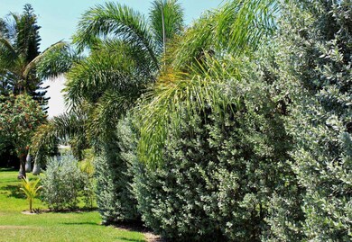 Lush Private Backyard