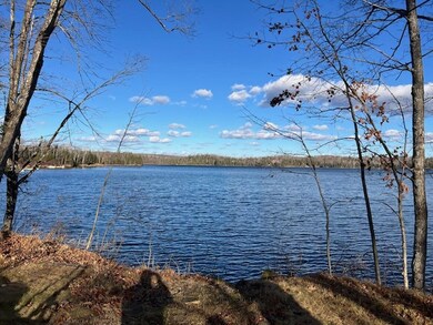 1462 Lily Lake Ln N, Pickerel, WI 54465 - photo 5