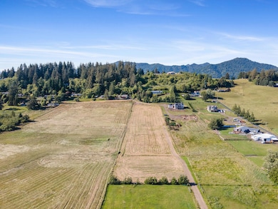 DJI_0031