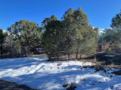 TBD Cottontail Ln, Ridgway, CO 81432 - photo 5