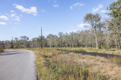 897 Ferguson Loop, Dale, TX 78616 - photo 3