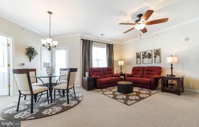 23520 F D R Blvd unit 402, California, MD 20619 - photo 5
