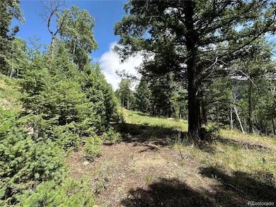 0 Tbd Calkins unit REC5883648, Jasper, CO 81146 - photo 6