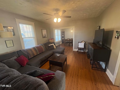 116 Elizabeth St, Bristol, TN 37620 - photo 2