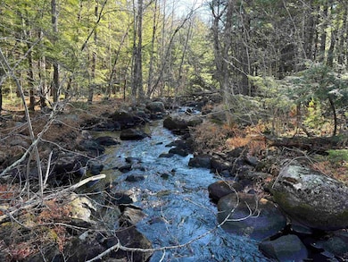 481 Chocorua Mountain Hwy, Tamworth, NH 03886 - photo 3