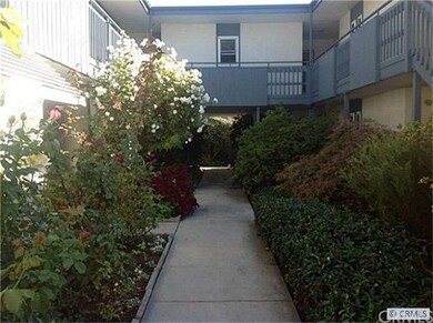 Manicured walkway