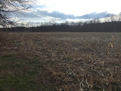 32155 Fillmore Rd, New Carlisle, IN 46552 - photo 6