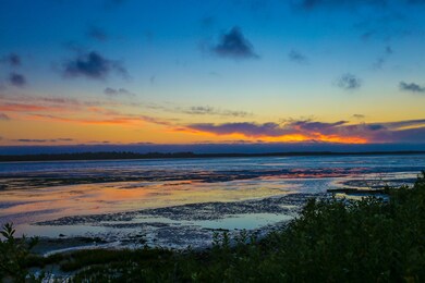 IMG_6434