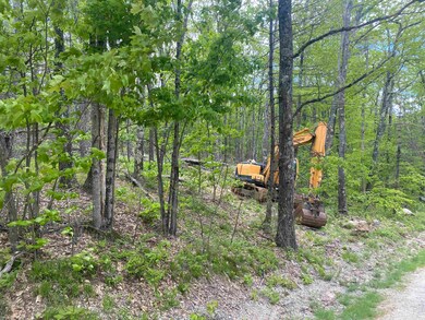 32 Upper Lake View Dr, Madison, NH 03849 - photo 6