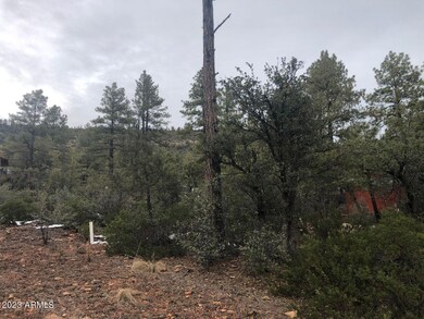 95 Wagon Wheel Way unit B5 ROS 3142 aka 3099, Strawberry, AZ 85544 - photo 7