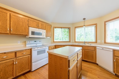 7309 Deer Pass Dr, Hugo, MN 55038 - photo 3