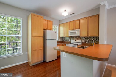 23140 Blackthorn Square, Sterling, VA 20166 - photo 5