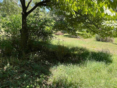 823 Rosser Ave, Waynesboro, VA 22980 - photo 6