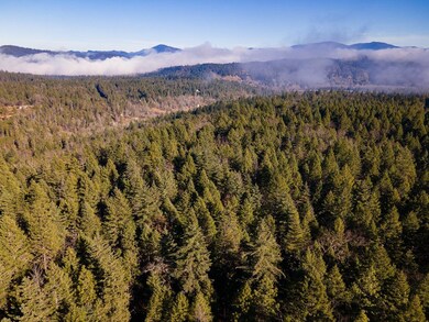 DJI_0560HDR01