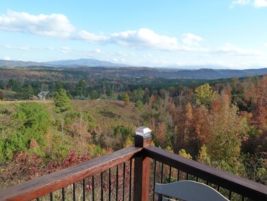Fall colors 4- Bracken