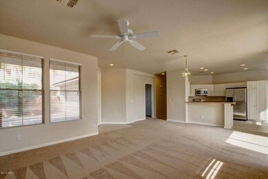 Cypress - 13557 (5)