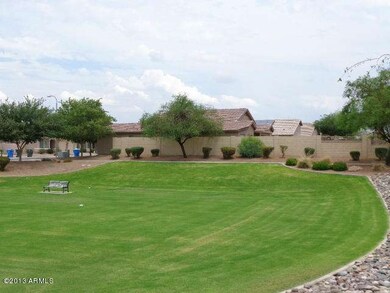 Grassy park 2