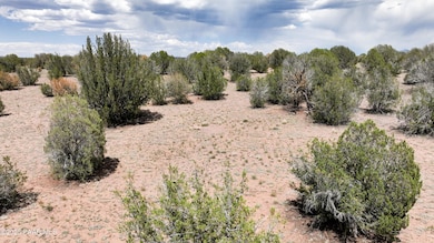 6 Ground_SE Corner_edited