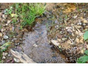 000 Moores Valley Ln, Leicester, NC 28748 - photo 3