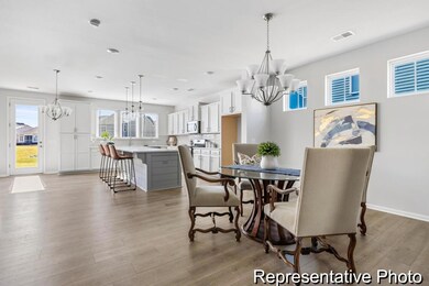 004-TrueHomes_2022-11-18-Edit-FULL_REP