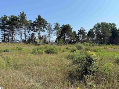 Parcel A1 E Kasson Rd, Maple City, MI 49664 - photo 3