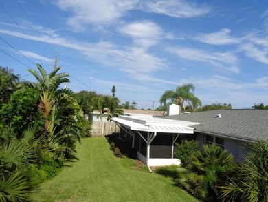 Tropical Florida Landscape