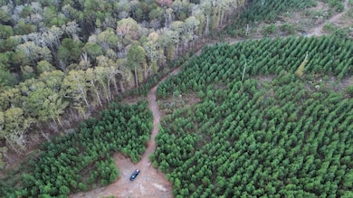 6580 Hwy 431 S, Pittsview, AL 36871 - photo 7