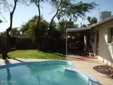 Back yard
