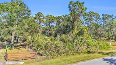 0 Quinlan St unit MFRO6362891, Orlando, FL 32833 - photo 2