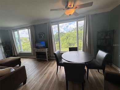 Florida Room