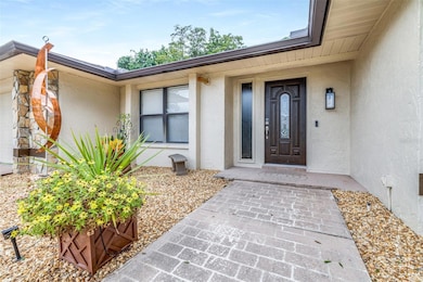 3404 Brian Rd S, Palm Harbor, FL 34685 - photo 7