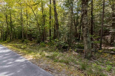 Lot 2 N Wilmot Rd, Wilmot, NH 03257 - photo 4