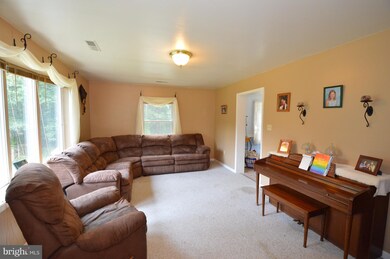 609 Liberty Furnace Rd, Edinburg, VA 22824 - photo 5