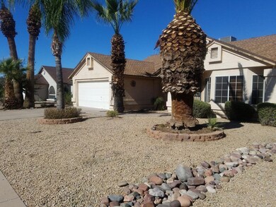 20180207_123151_resized