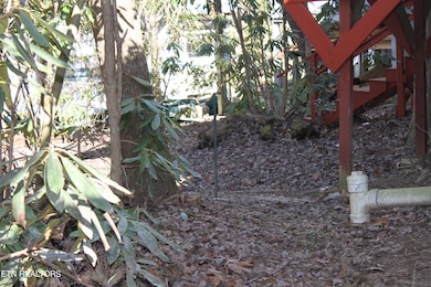 299 Harmony Way, Cosby, TN 37722 - photo 4