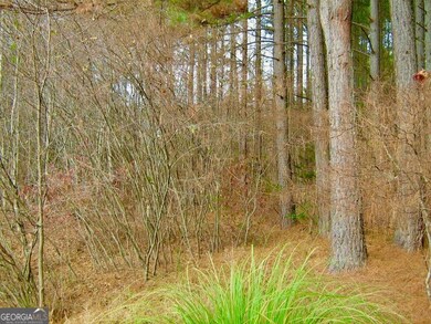 41 Golden Delicious Rd, Clarkesville, GA 30523 - photo 6