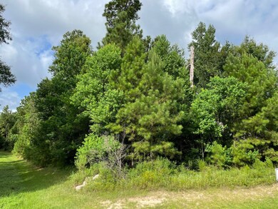 27711 Ossineke Dr, Spring, TX 77386 - photo 2