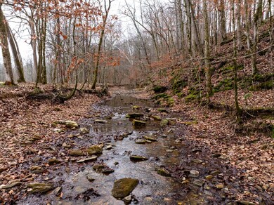 0 Shelter Branch Rd, Cumberland Furnace, TN 37051 - photo 7