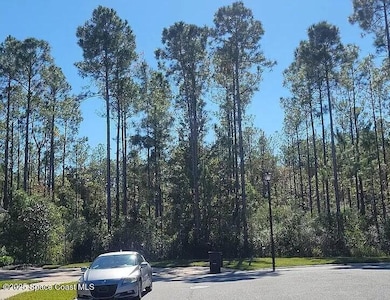 7130 Swan Falls Ct, Jacksonville, FL 32222 - photo 5