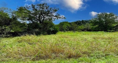 24003 Oak Shadow, Whitney, TX 76692 - photo 2