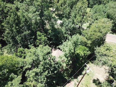 TRACT 11 Texas State Highway 87 unit 1/2 mile on Left bef, Burkeville, TX 75932 - photo 6