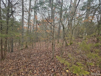 View of local wilderness