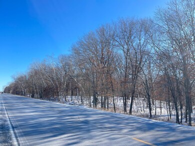 B1 L9 181st Ave NW, Oak Grove, MN 55303 - photo 7