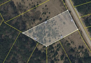 1041 Clint Williams Rd GIS PLat MAP2