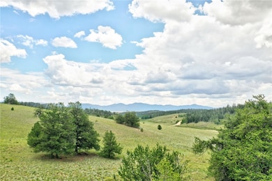 440 Sharps Way, Como, CO 80432 - photo 3