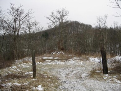 Woods